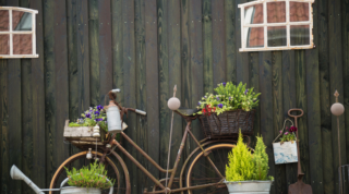 De vieux objets pour décorer votre jardin