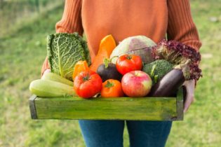 Les légumes et les fruits : comment en avoir les meilleures récoltes ?