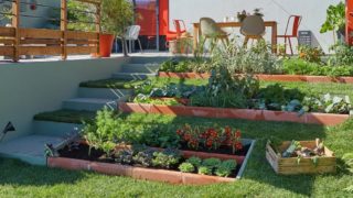 Aménager un jardin potager, que savoir avant de se lancer ?