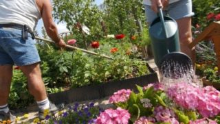 Jardinage : que faire au printemps ?